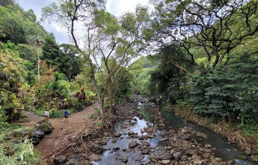 Waimea Valley, Haleiwa, Oahu, Hawaii