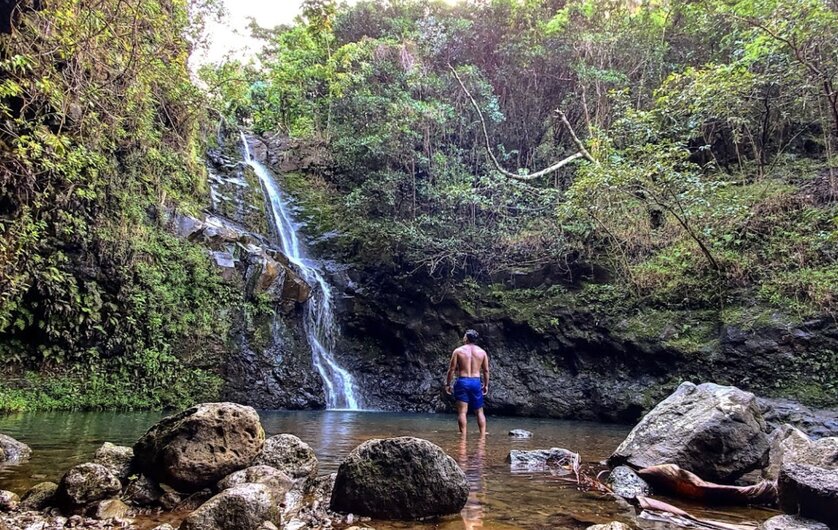 Manoa Falls Hiking Trail, Honolulu, Oahu, Hawaii